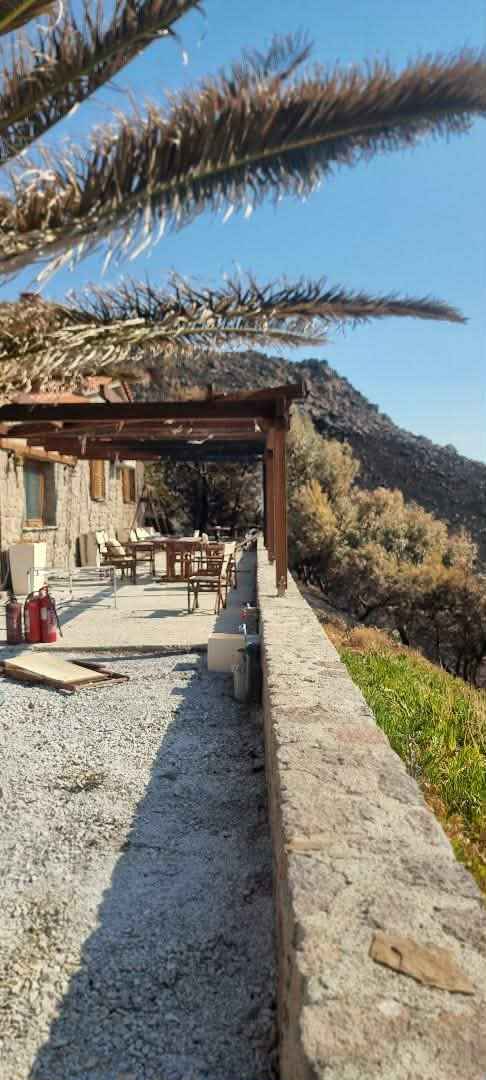 Η φωτιά στο Θάνος πέρασε από το «Κτήμα Ήφαιστος», οι εικόνες της καταστροφής και η μαρτυρία των ιδιοκτητών (βίντεο - εικόνες) 47 fotia ktima ifaistos 4
