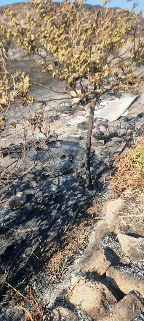 Η φωτιά στο Θάνος πέρασε από το «Κτήμα Ήφαιστος», οι εικόνες της καταστροφής και η μαρτυρία των ιδιοκτητών (βίντεο - εικόνες) 43 fotia ktima ifaistos 6