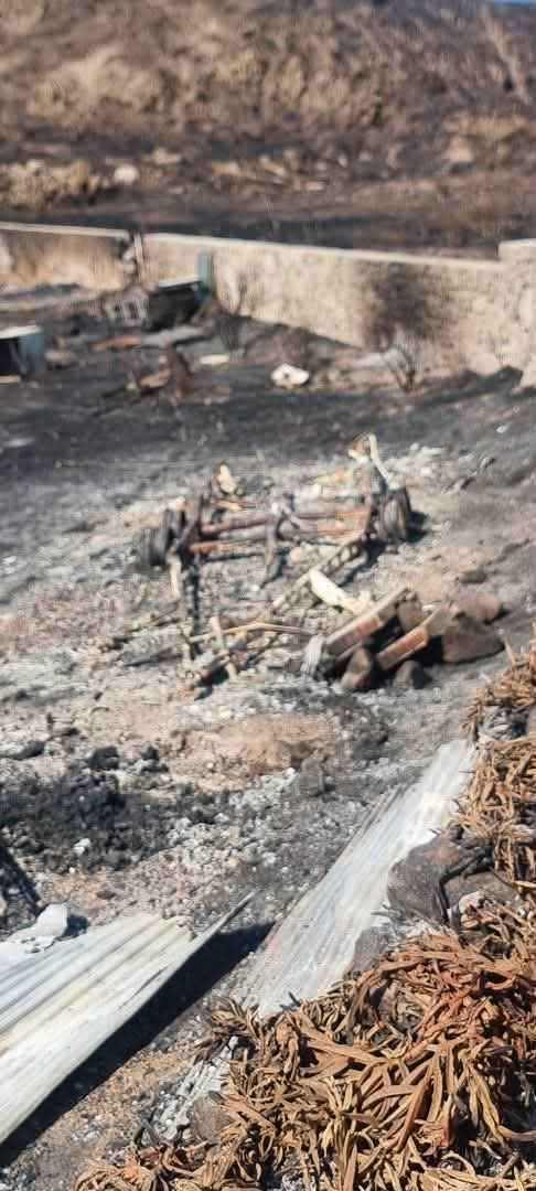 Η φωτιά στο Θάνος πέρασε από το «Κτήμα Ήφαιστος», οι εικόνες της καταστροφής και η μαρτυρία των ιδιοκτητών (βίντεο - εικόνες) 48 fotia ktima ifaistos 7