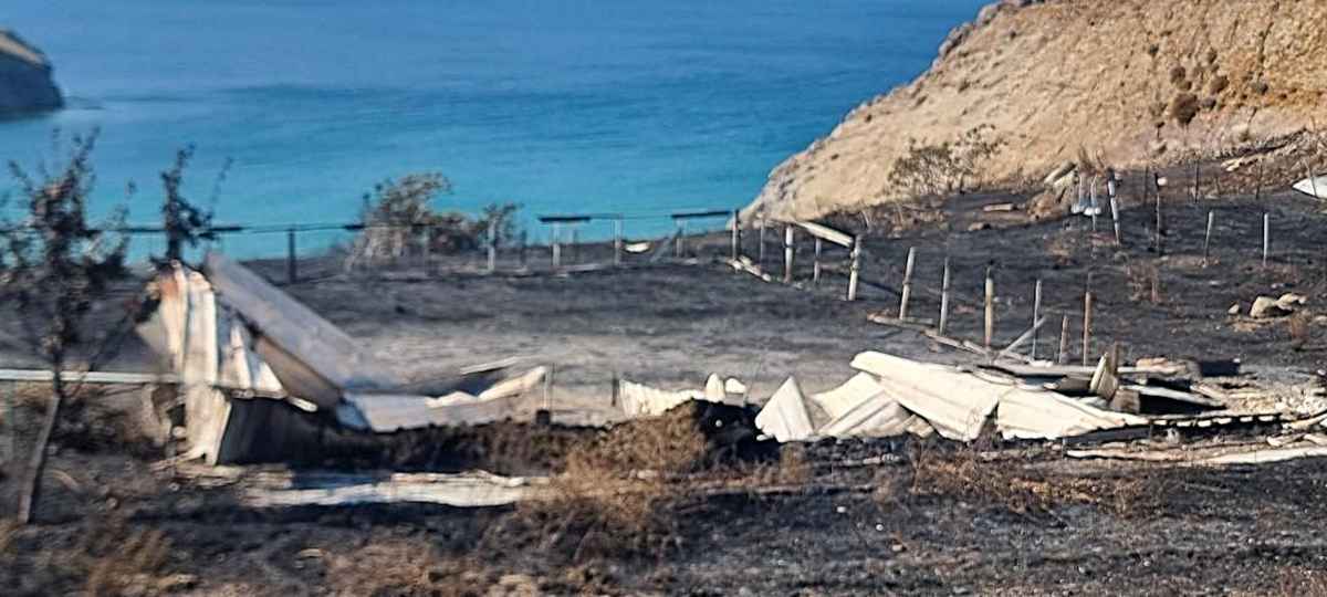Η φωτιά στο Θάνος πέρασε από το «Κτήμα Ήφαιστος», οι εικόνες της καταστροφής και η μαρτυρία των ιδιοκτητών (βίντεο - εικόνες) 50 fotia ktima ifaistos 9