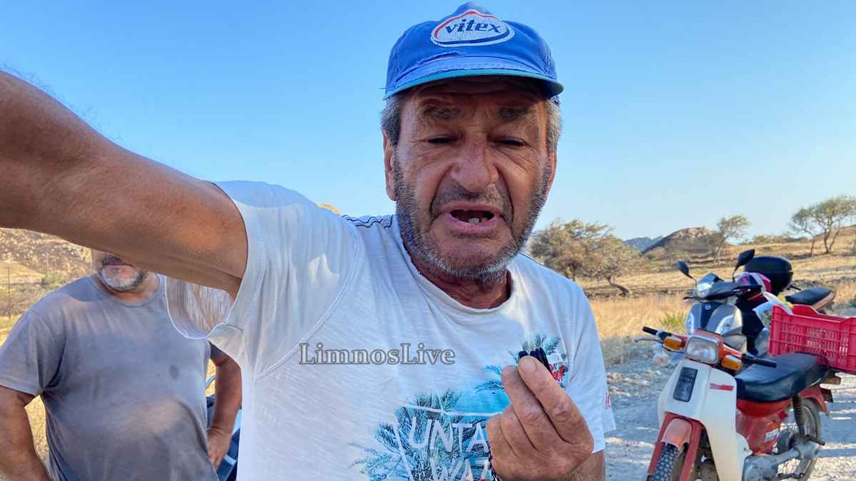 Λήμνος: Μετά τις φλόγες στο Θάνος. Η πικρή γεύση της στάχτης, η αγωνία των ανθρώπων και η πρωτοβουλία που εκθέτει το κράτος 55 stayros lagos thanos