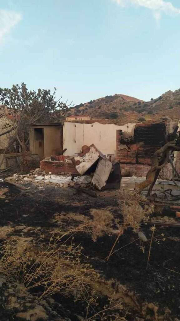 Λήμνος: Μετά τις φλόγες στο Θάνος. Η πικρή γεύση της στάχτης, η αγωνία των ανθρώπων και η πρωτοβουλία που εκθέτει το κράτος 39 thanos kamena 2