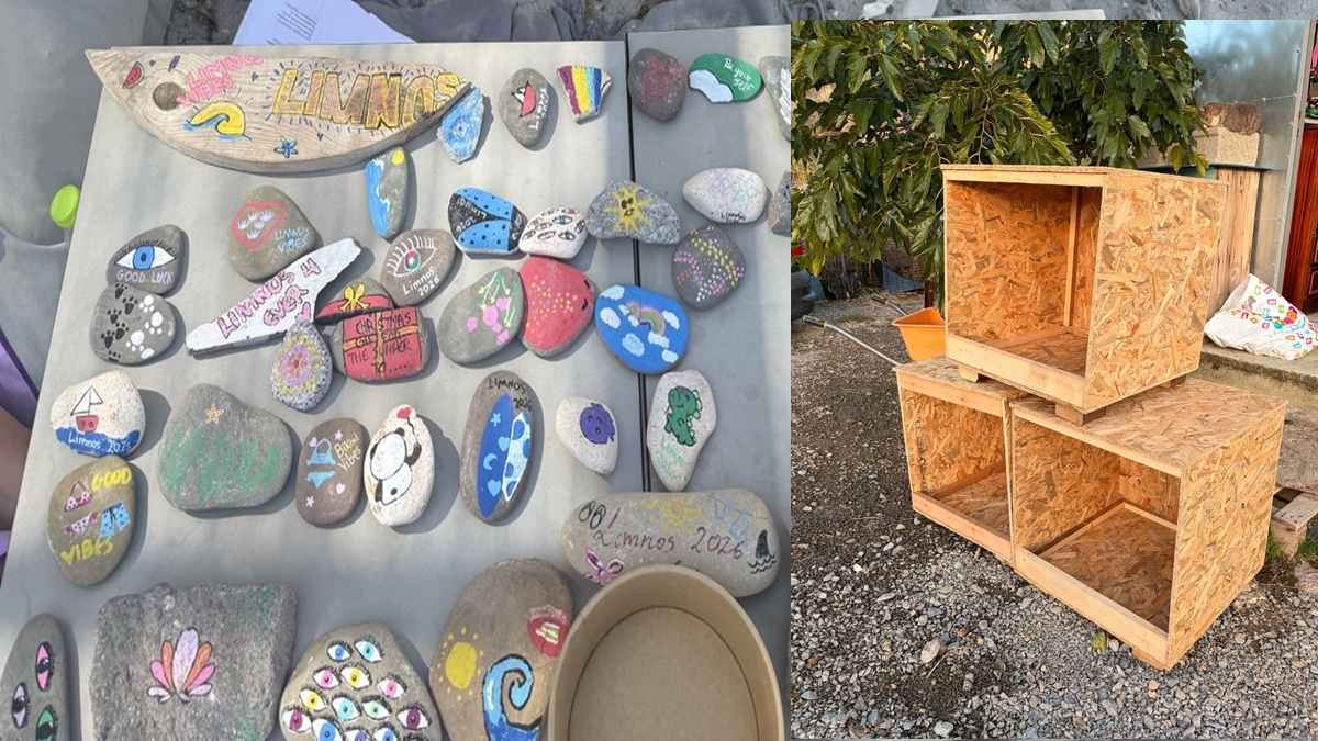 PETROULES spitaki